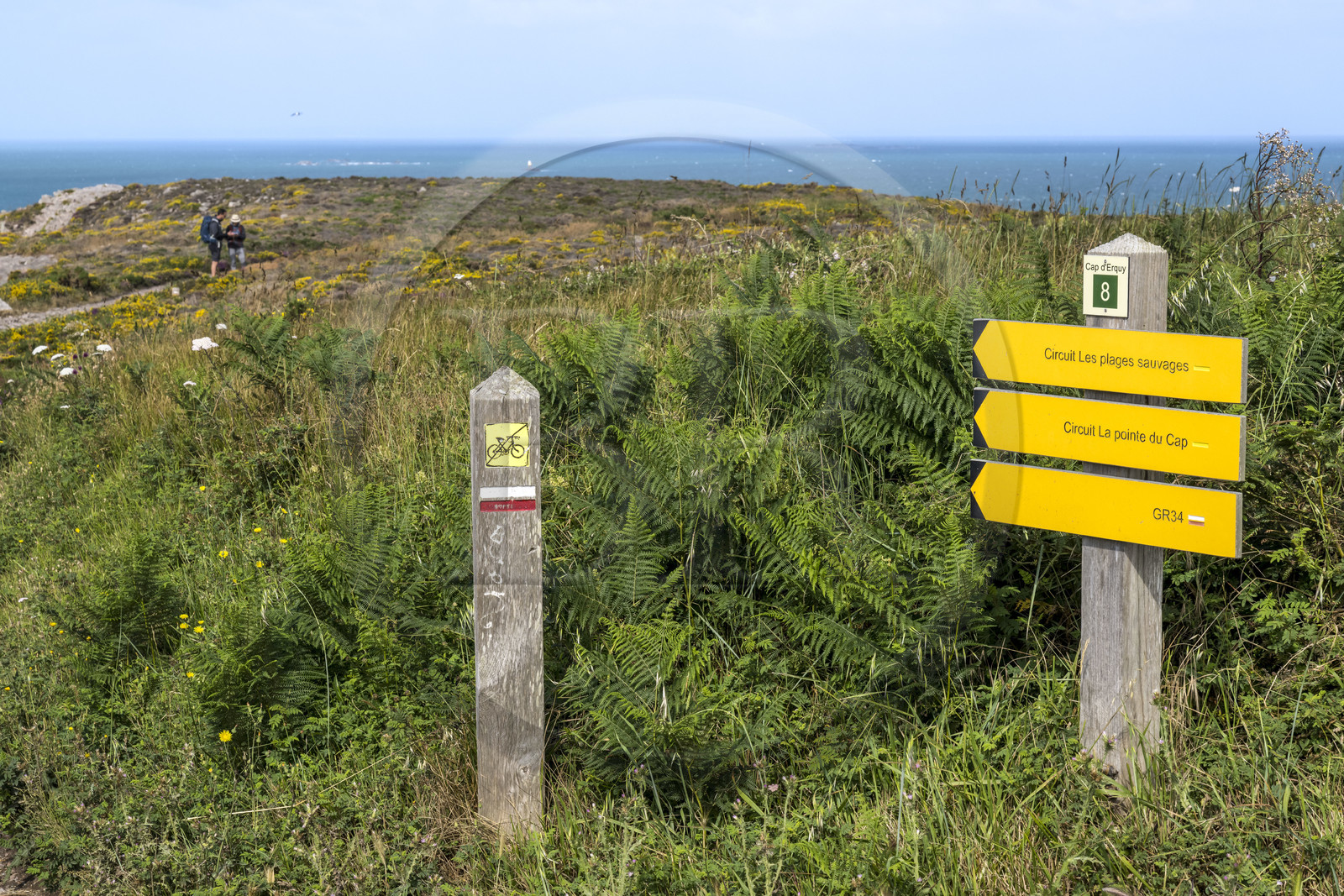 France, Côtes d'Armor (22), Grand Site de France Cap d'Erquy – Cap Fréhel, Erquy, le chemin de Grande Randonnée GR34 à la Pointe du Cap d'Erquy (vue aérienne)