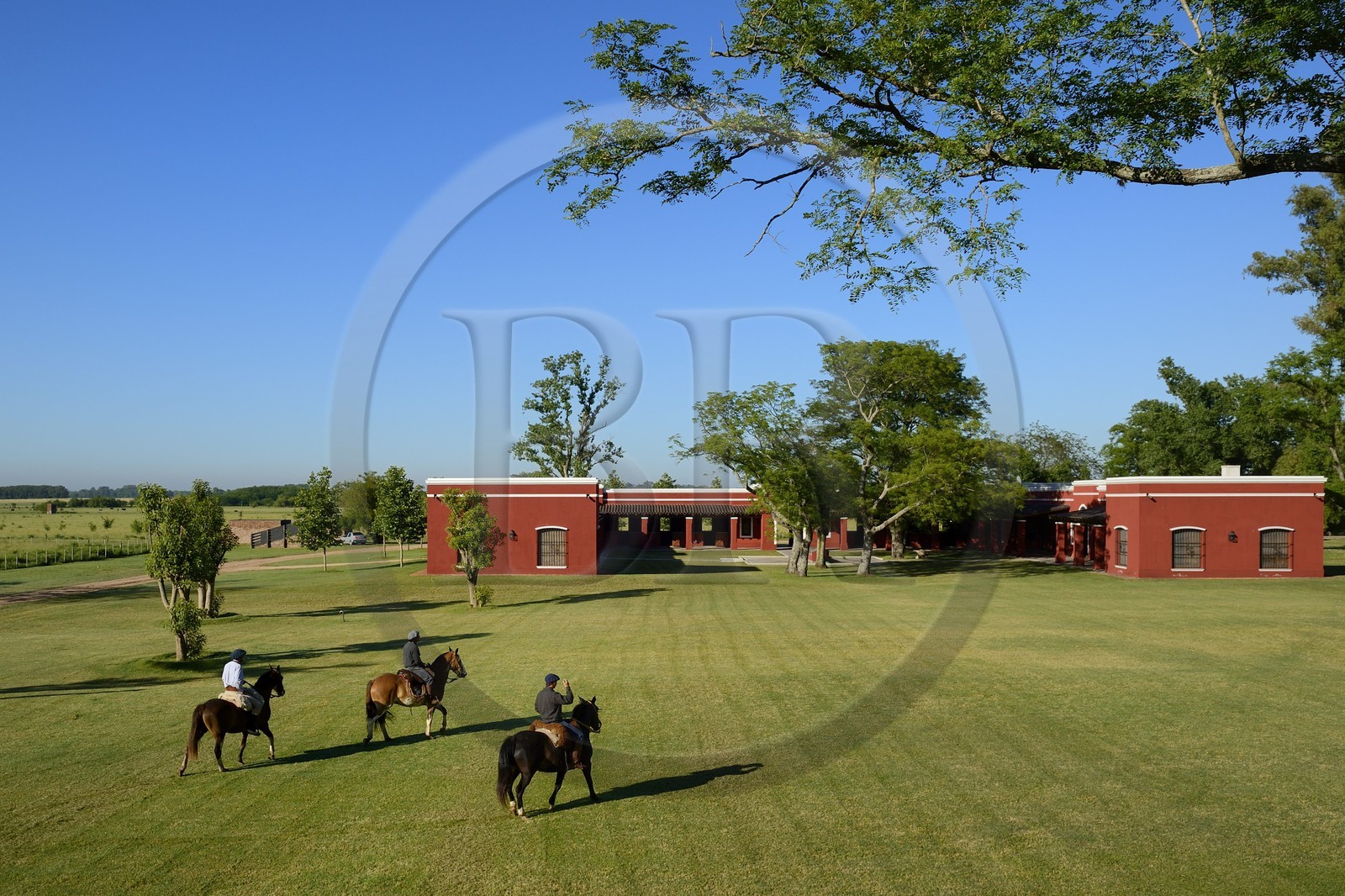 Argentine, province de Buenos Aires, San Antonio de Areco, estancia La Bamba de Areco, gauchos à cheval passant devant l'étable des chevaux utilisés pour le polo